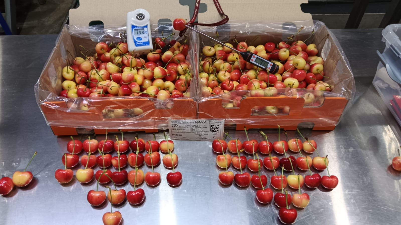 Cerezas premium